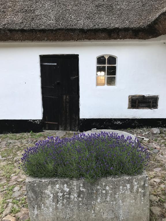 Apple Cottage Vejby Exterior photo